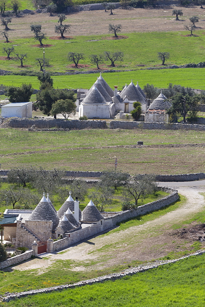 Traditional trullos (trulli) in the countryside near Alberobello, Puglia, Italy, Europe