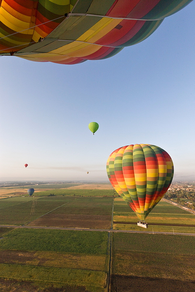 Hot air balloons flying over fields near Luxor, Egypt, North Africa, Africa