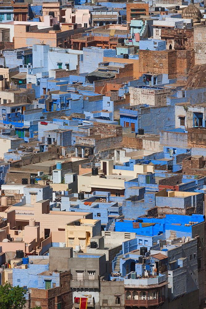 The traditional blue-washed houses of Jodhpur, Rajasthan, India, Asia