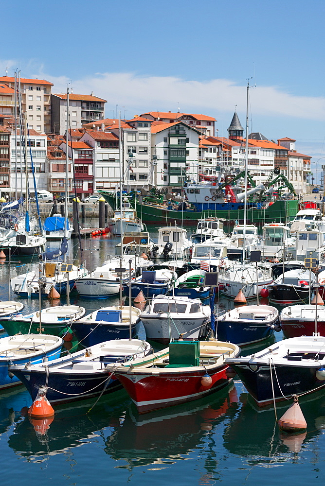 Traditional fishing boats moored in the harbour in Lekeitio, Basque Country (Euskadi), Spain, Europe