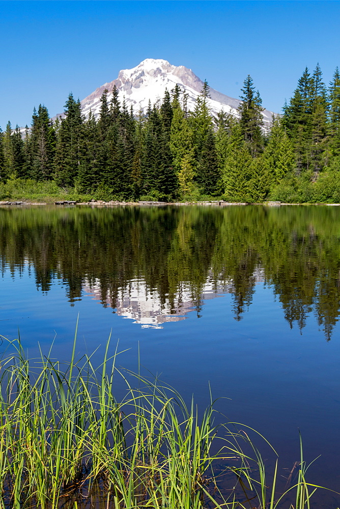 Mount Hood, part of the Cascade Range, reflected in the still waters of Mirror Lake, Pacific Northwest region, Oregon, United States of America, North America