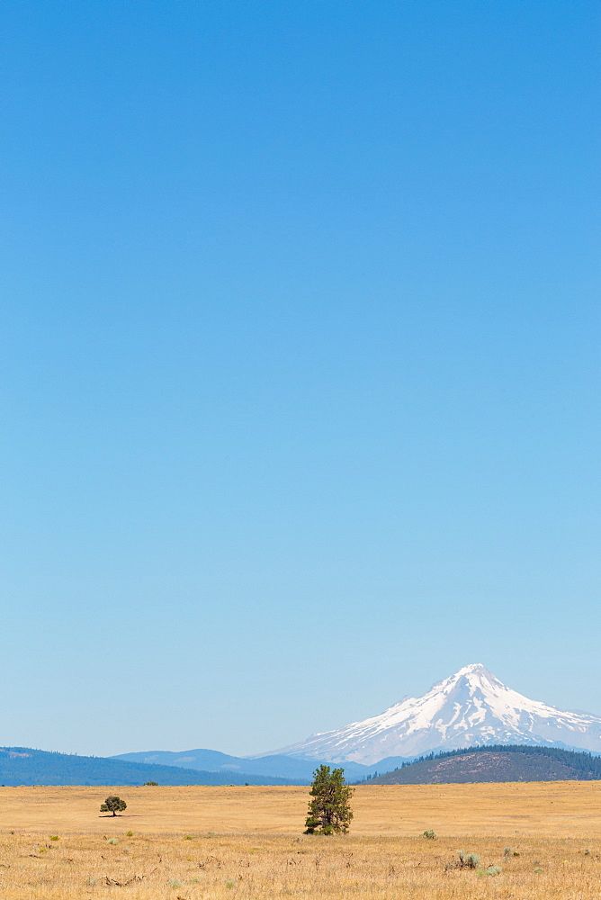 Central Oregon's High Desert with Mount Hood, part of the Cascade Range, Pacific Northwest region, Oregon, United States of America, North America