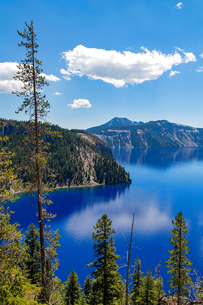 Cloud reflected in the still waters of Crater Lake, the deepest lake in the U.S.A., part of the Cascade Range, Oregon, United States of America, North America