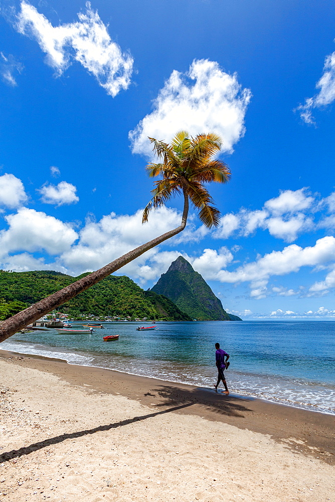 Man walking under a lone palm on the beach at Soufriere with Petit Piton in the distance, St. Lucia, Windward Islands, West Indies Caribbean, Central America