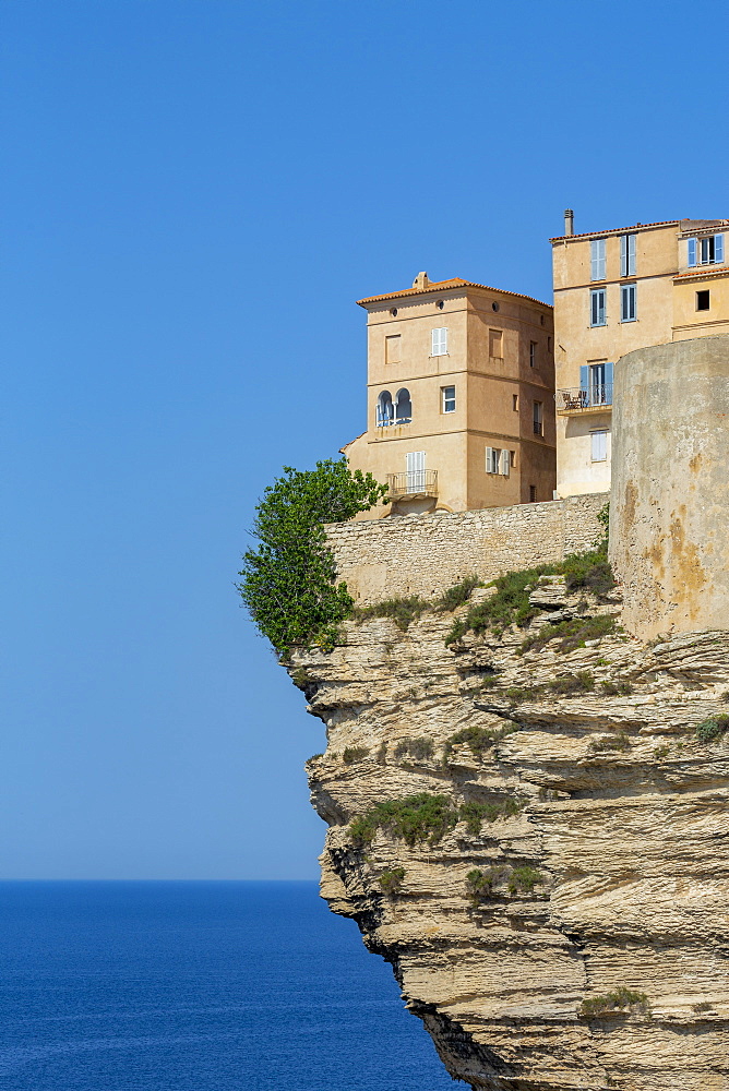 The Citadel and old town of Bonifacio perched on rugged cliffs, Bonifacio, Corsica, France, Mediterranean, Europe