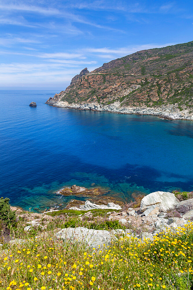 The rugged coastline of Cap Corse, the most northerly point of Corsica, France, Mediterranean, Europe