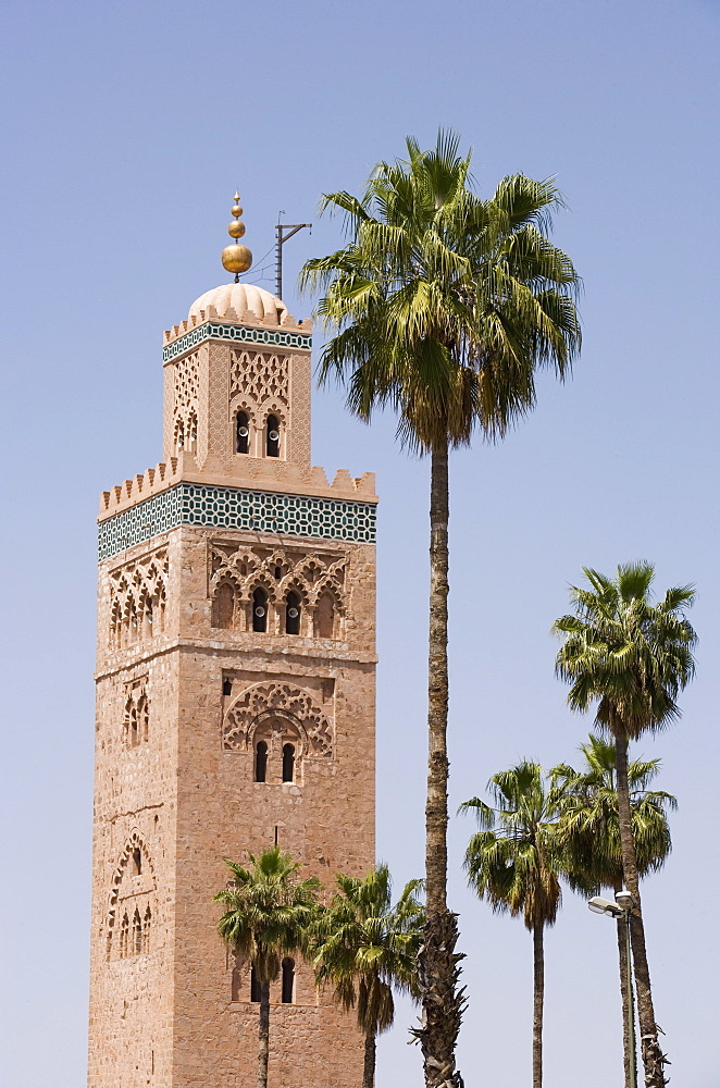 Minaret and palm trees, Koutoubia Mosque, Marrakech, Morocco, North Africa, Africa