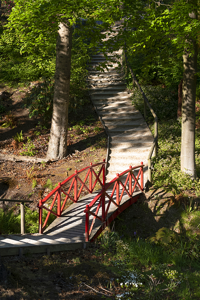 Colourful wooden footbridge over a stream in the exotic Himalayan Gardens and Sculpture Park, Yorkshire, United Kingdom