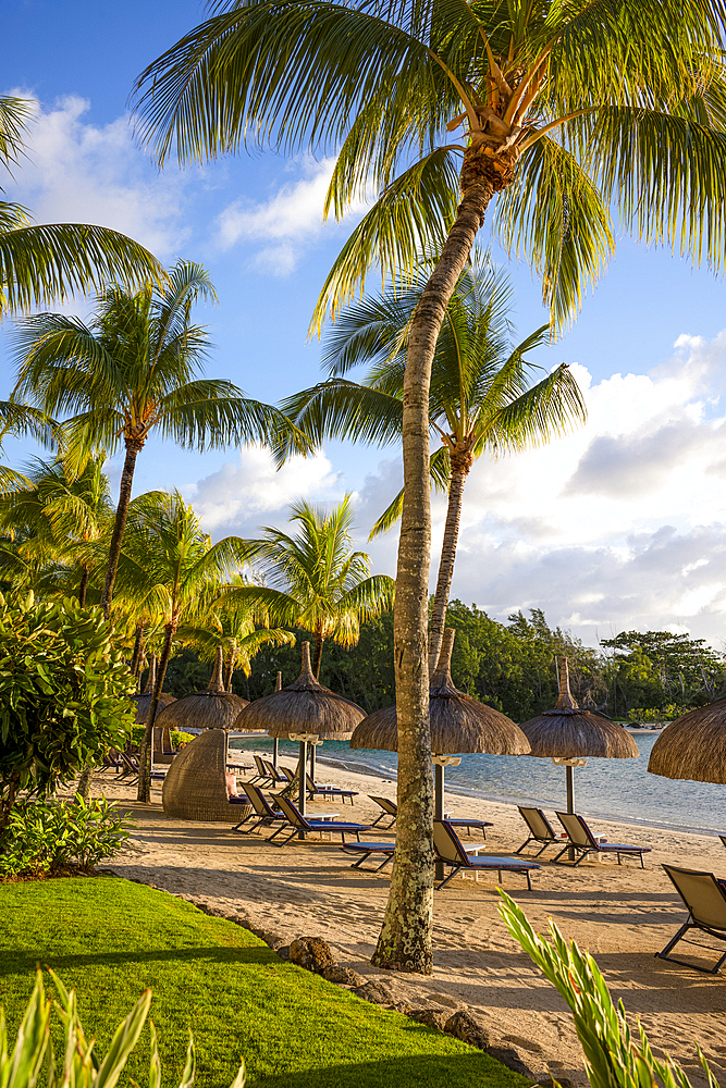Palm trees and beach at Le Touessrok resort, at Trou d'Eau Douce, on the exotic island of Mauritius in the Indian Ocean