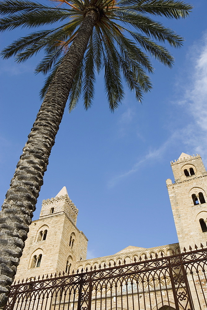 Palm tree and cathedral, Piazza Duomo, Cefalu, Sicily, Italy, Europe