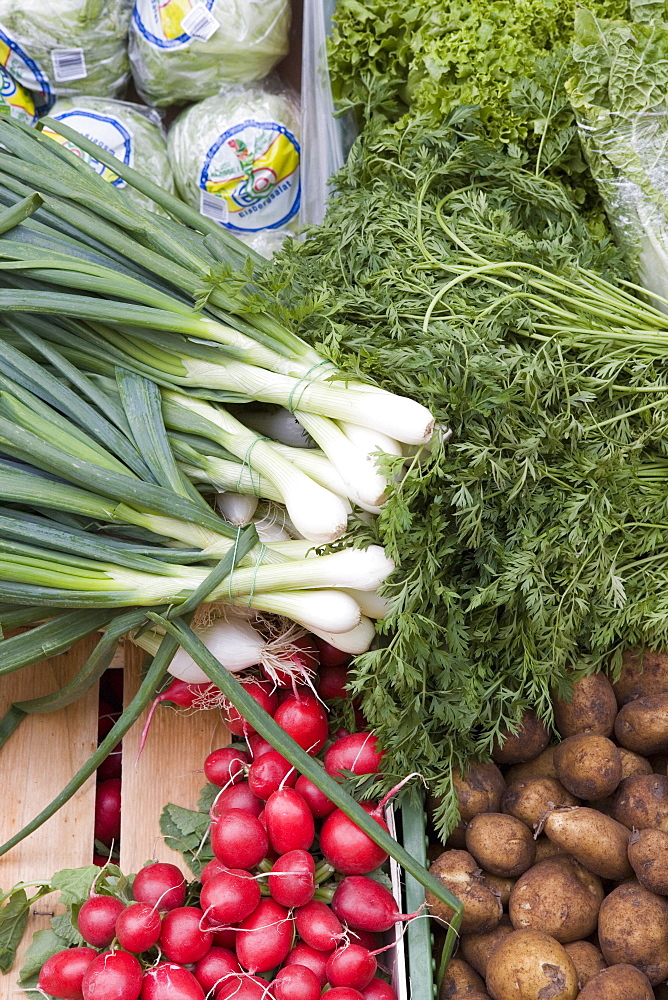 Vegetables including spring onions, potatoes and radishes on market stall, Old Town, Prague, Czech Republic, Europe