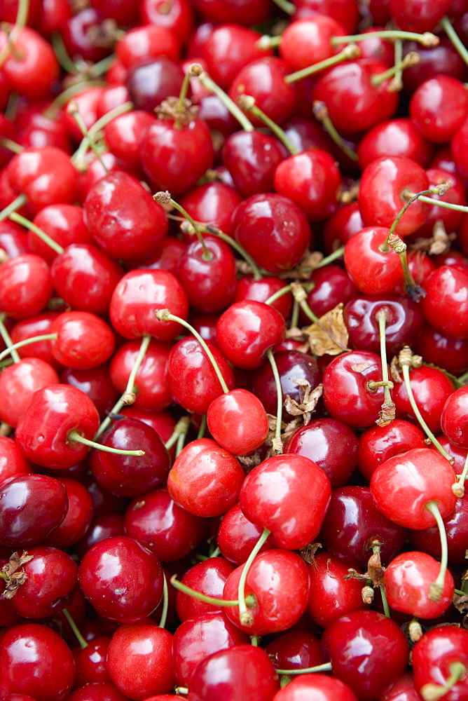 Cherries, market, Old Town, Prague, Czech Republic, Europe