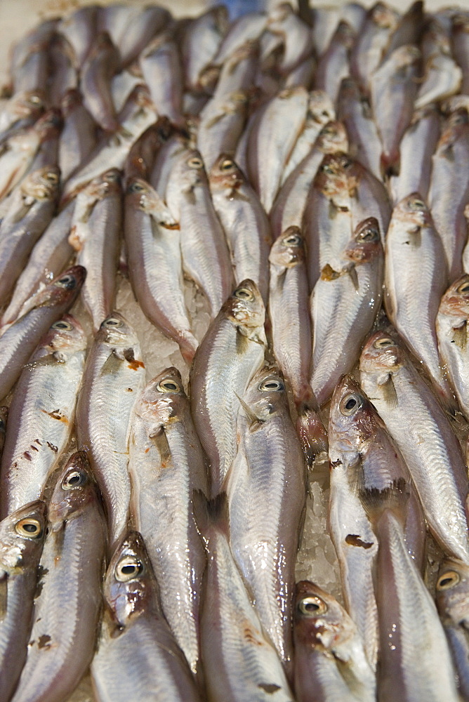 Cod for sale, Mercado Central (Central Market), Valencia, Costa del Azahar, Spain, Mediterranean, Europe