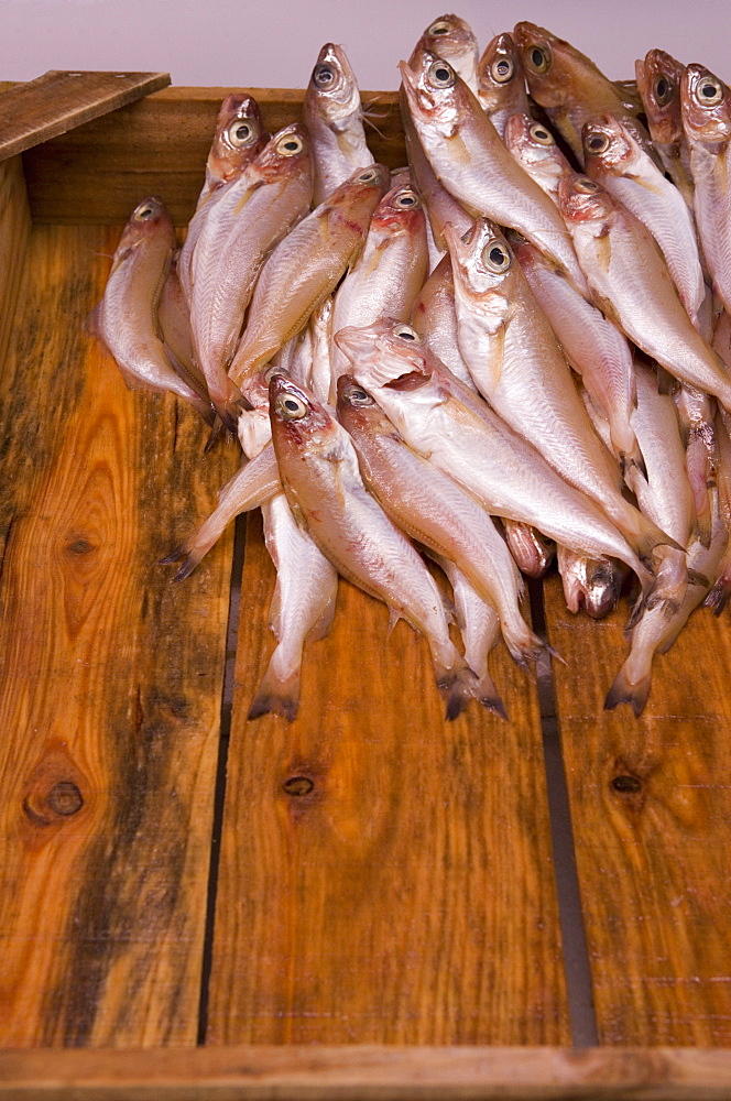 Fish for sale, Mercado Central (Central Market), Valencia, Costa del Azahar, Spain, Mediterranean, Europe