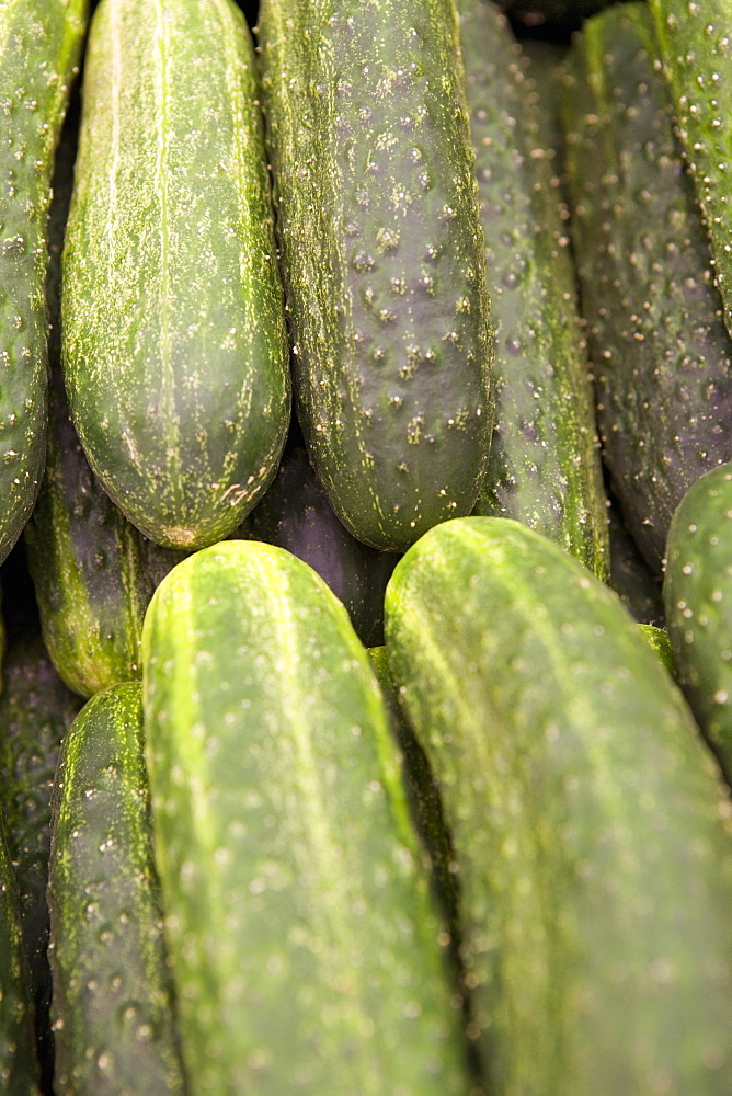 Cucumbers for sale, Mercado Central (Central Market), Valencia, Mediterranean, Costa del Azahar, Spain, Europe