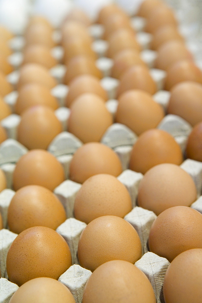 Free range eggs for sale, Mercado Central (Central Market), Valencia, Mediterranean, Costa del Azahar, Spain, Europe