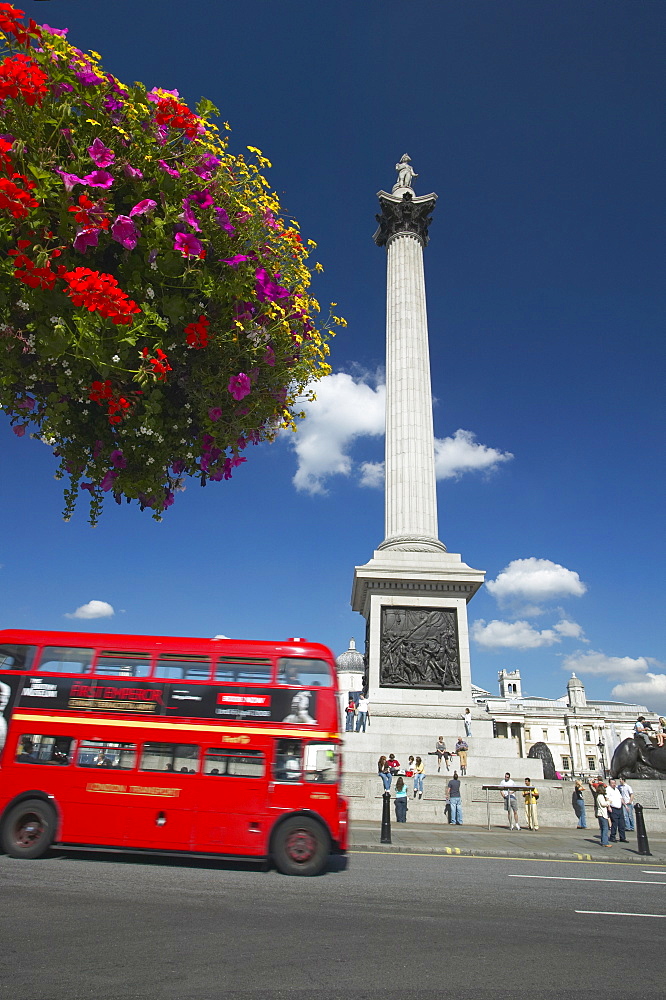 Routemaster bus passing Nelson's Column, Trafalgar Square, London, England, United Kingdom, Europe