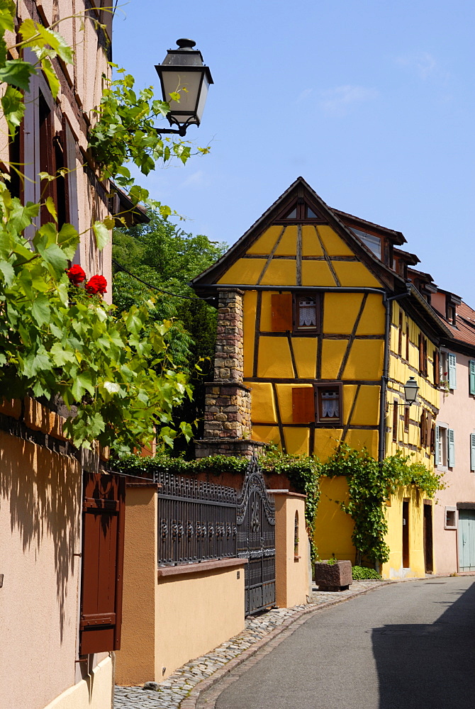 Timbered buildings in street, Turckheim, Haut-Rhin, Alsace, France, Europe