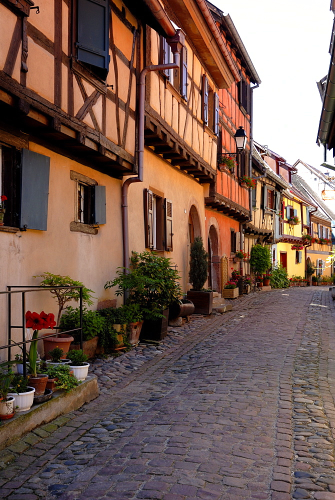 Timbered houses on cobbled street, Eguisheim, Haut Rhin, Alsace, France, Europe