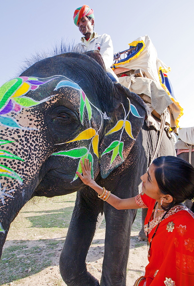 Woman in colourful sari with a painted ceremonial elephant in Jaipur, Rajasthan, India, Asia