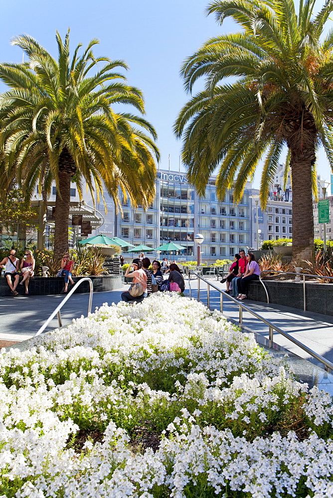 Union Square, Downtown, San Francisco, California, United States of America, North America