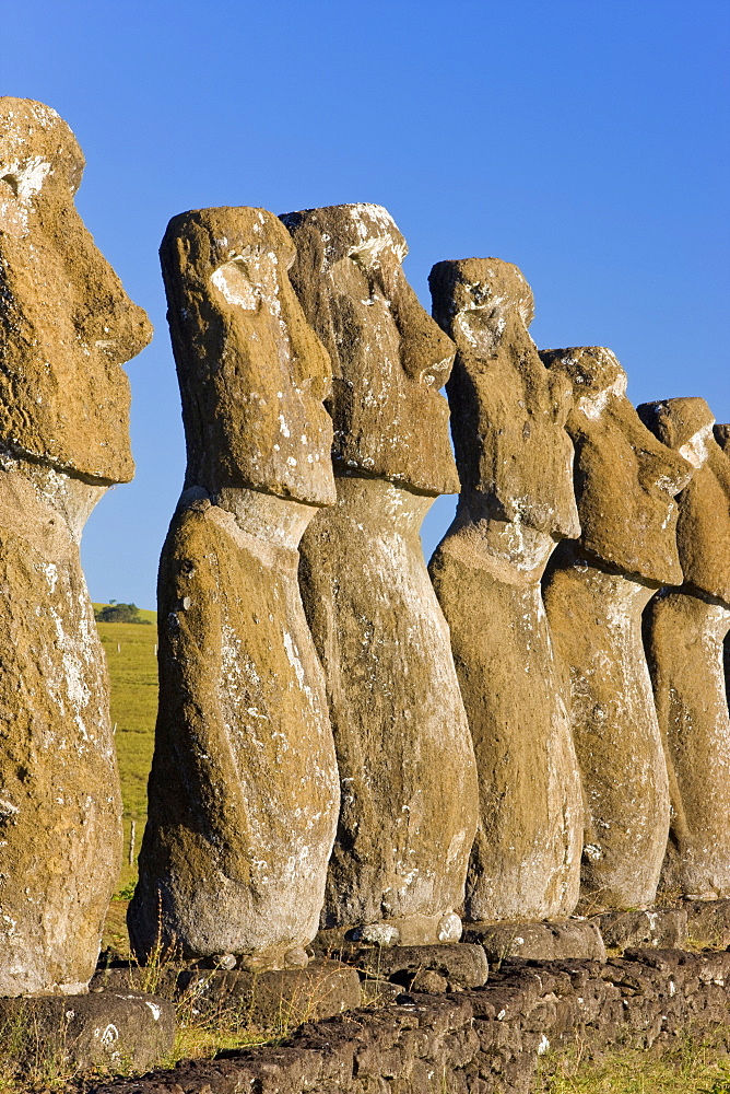 Row of monolithic stone Moai statues known as Ahu Akivi, Rapa Nui (Easter Island), UNESCO World Heritage Site, Chile, South America