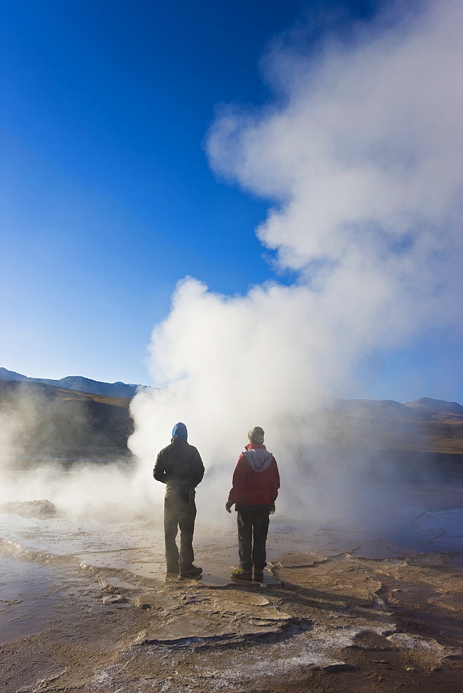 El Tatio Geysers, at 4300m above sea level El Tatio is the world's highest geyser field, the area is ringed by volcanoes and fed by 64 geysers, Atacama Desert, Norte Grande, Chile, South America