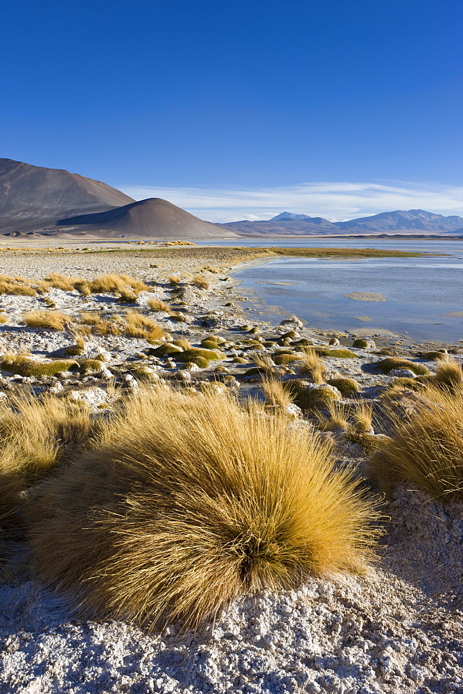 The altiplano at an altitude of over 4000m looking over the salt lake Laguna de Tuyajto, Los Flamencos National Reserve, Atacama Desert, Antofagasta Region, Norte Grande, Chile, South America