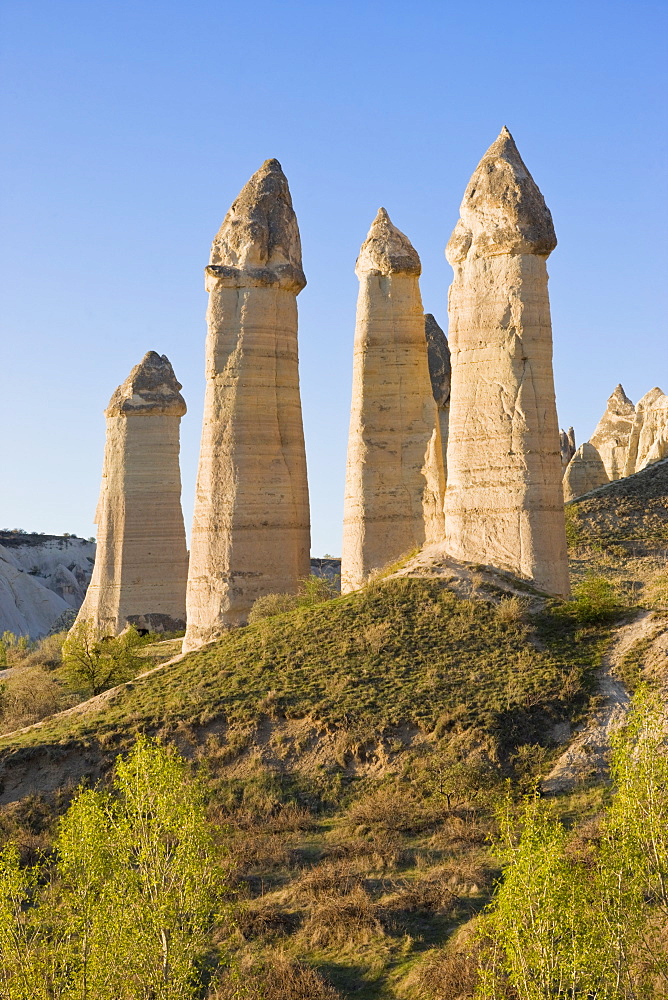 Phallic pillars known as fairy chimneys in the valley known as Love Valley near Goreme in Cappadocia, Anatolia, Turkey, Asia Minor, Eurasia