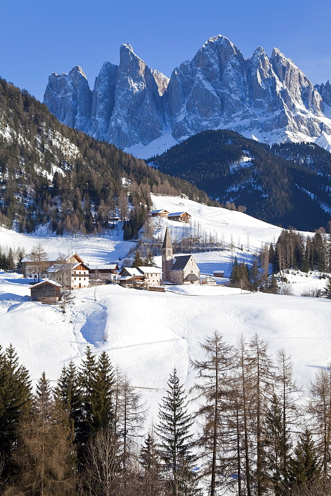 Winter landscape of St. Magdalena village and church, Geisler Spitzen, 3060m, Val di Funes, Dolomites, Trentino-Alto Adige, South Tirol (Tyrol), Italy, Europe