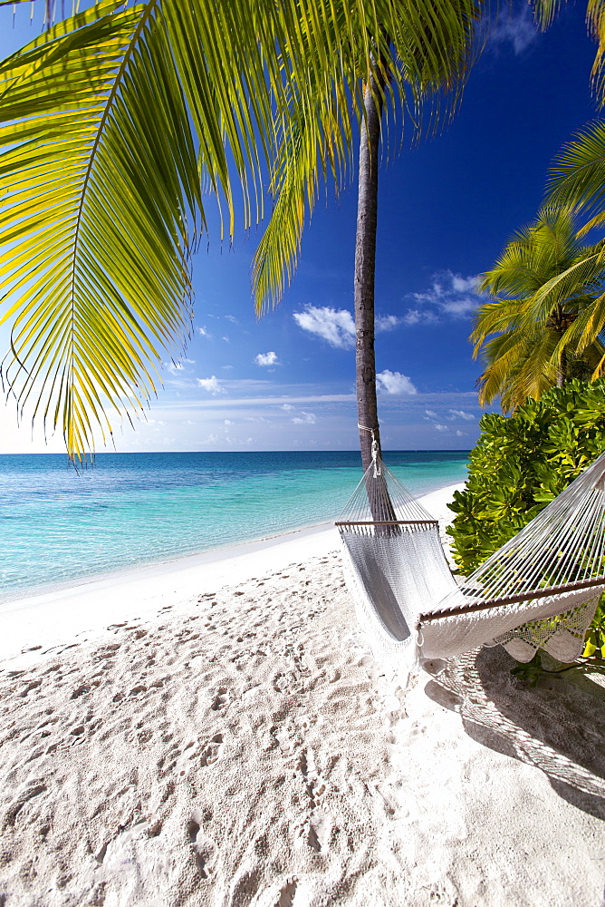 Hammock on tropical beach, Maldives, Indian Ocean, Asia