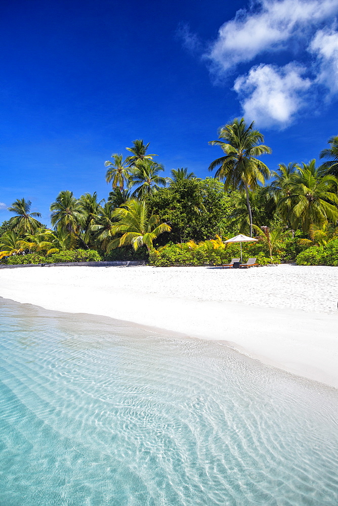 Tropical beach and palm trees, The Maldives, Indian Ocean, Asia