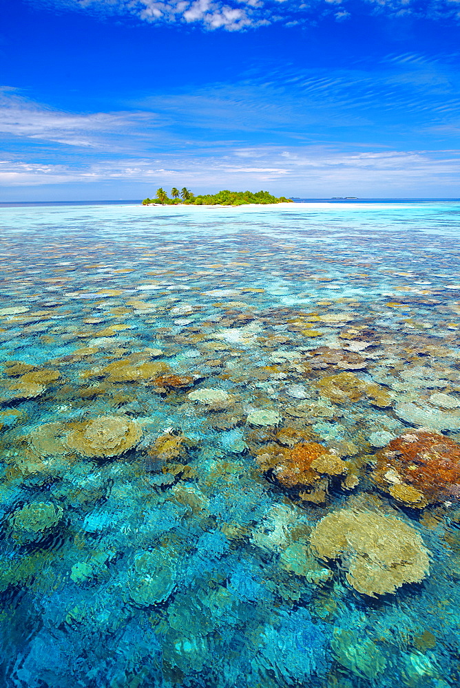 Tropical island surrounded by coral reef, The Maldives, Indian Ocean, Asia