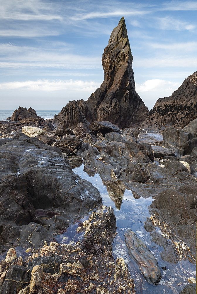 Sea stack on the rugged South Hams coastline near Hope Cove, Devon, England, United Kingdom, Europe