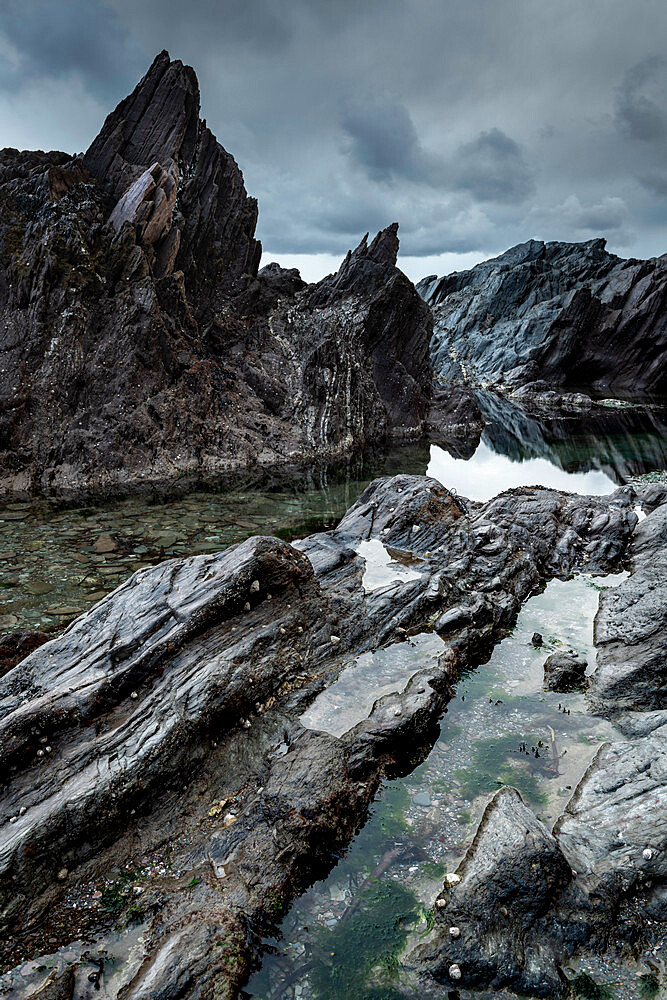 Rocky shores of Ayrmer Cove in the South Hams, Devon, England, United Kingdom, Europe