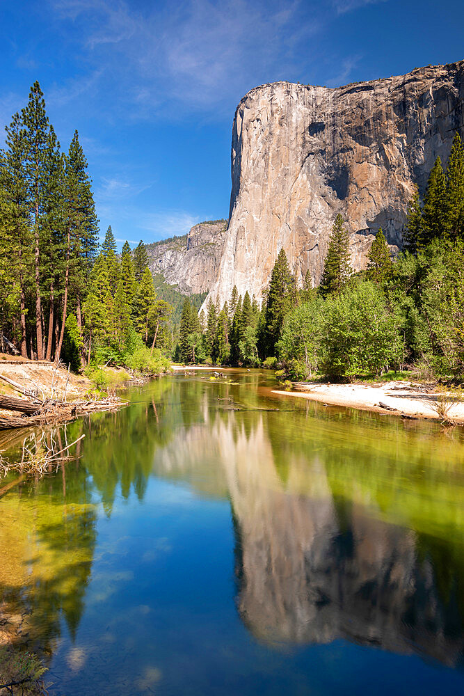 El Capitan reflected in the River Merced, Yosemite Natiional Park, UNESCO World Heritage Site, California, United States of America, North America