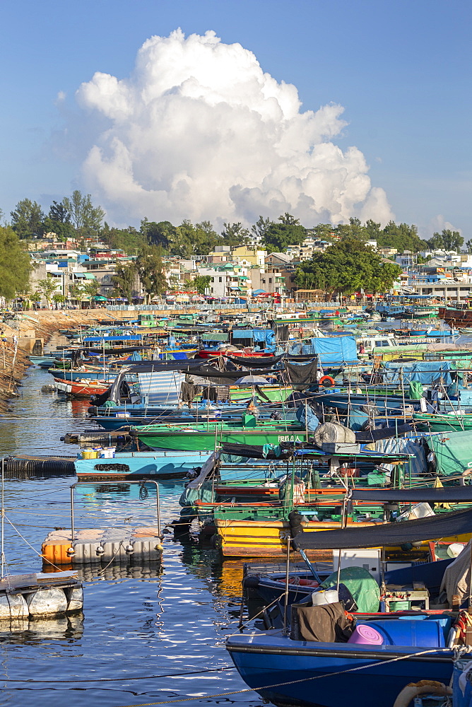 Fishing boats in harbour, Cheung Chau, Hong Kong, China, Asia