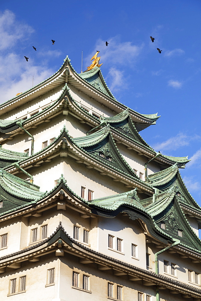 Nagoya Castle, Nagoya, Honshu, Japan, Asia