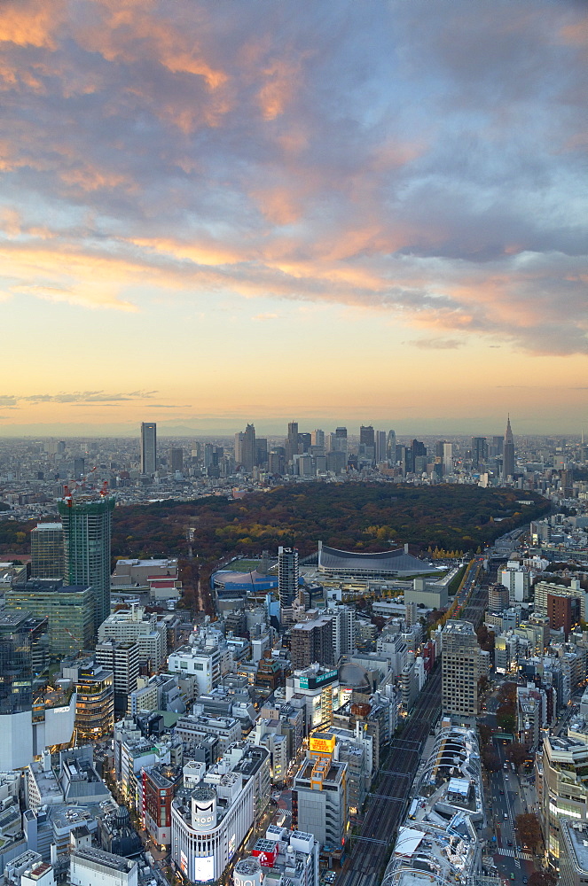 View of Shinjuku skyline and downtown at sunset, Tokyo, Honshu, Japan, Asia