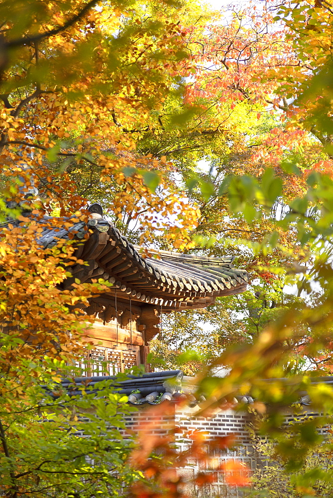 Secret Garden in Changdeokgung Palace, UNESCO World Heritage Site, Seoul, South Korea, Asia