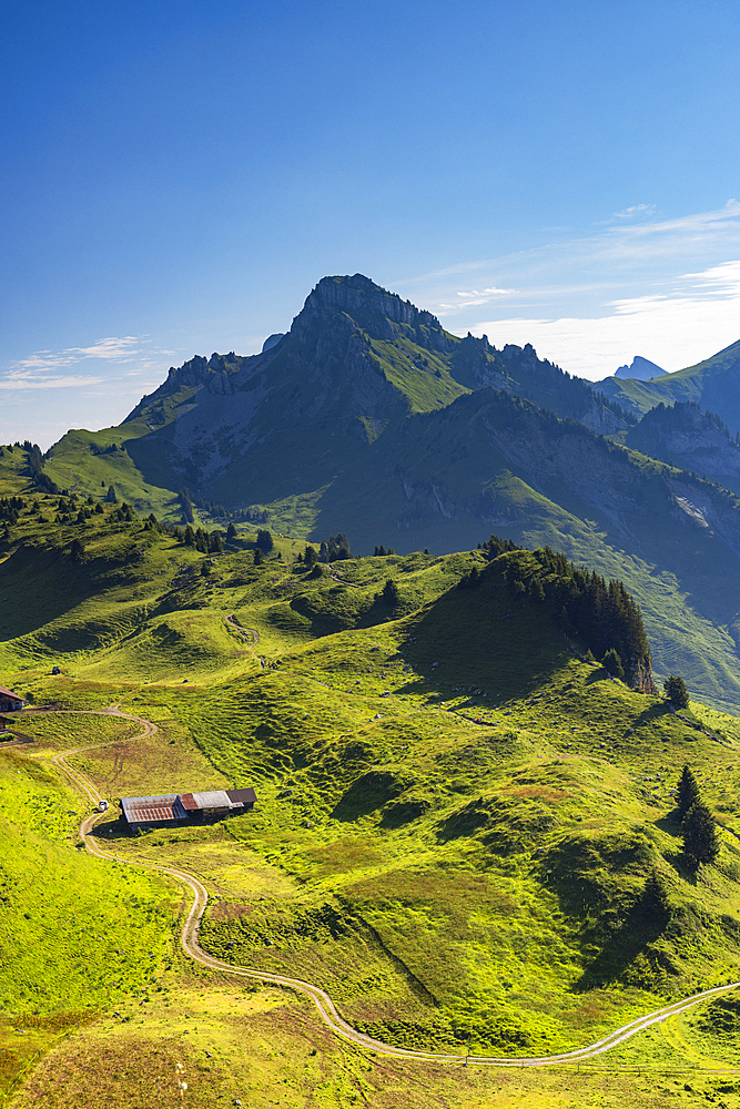 Schynige Platte, Jungfrau Region, Bernese Oberland, Switzerland