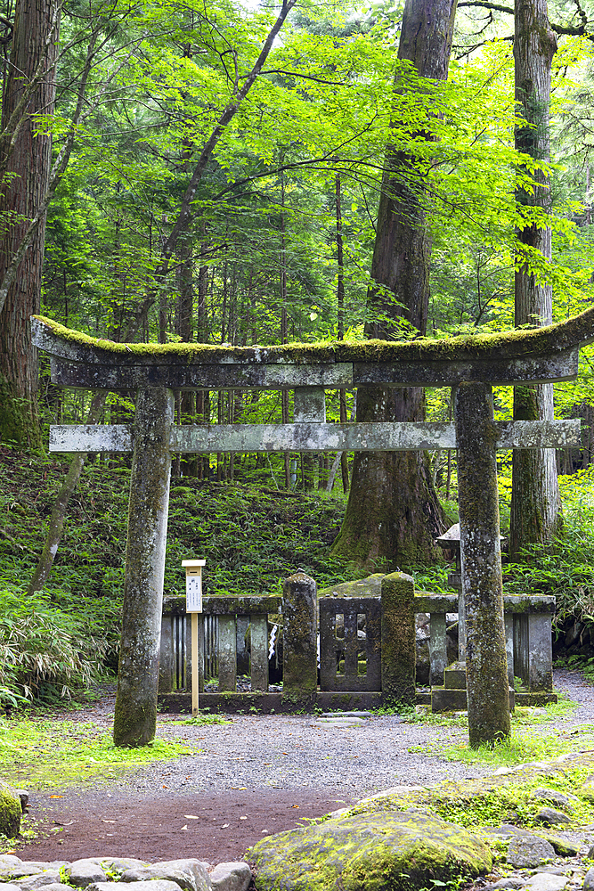 Fertility stone and tori gate at Takino'o Shrine of Futarasan Temple (UNESCO World Heritage Site), Nikko, Tochigi, Japan
