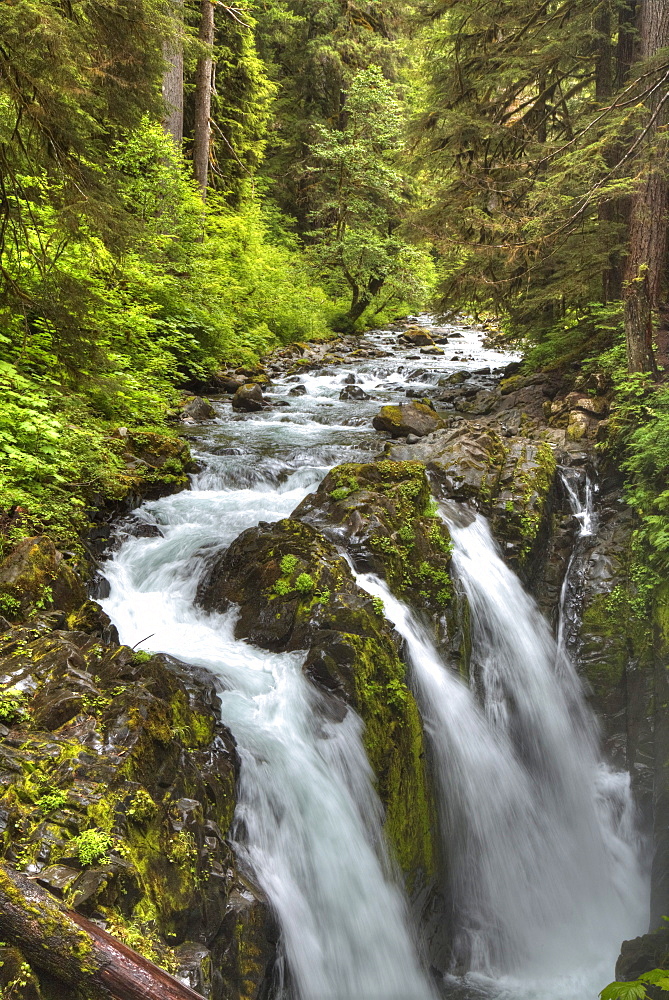 Sol Duc Falls, Olympic National Park, UNESCO World Heritage Site, Washington, United States of America, North America