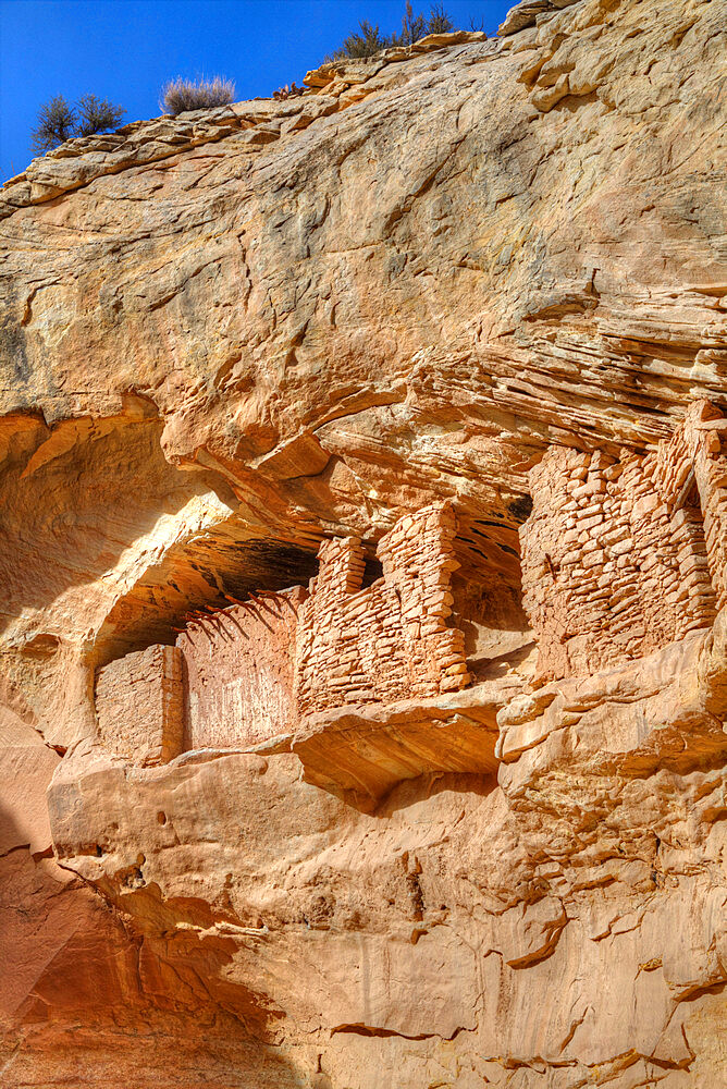 Target Ruins, Ancestral Pueblo, up to 1000 years old, Coomb Ridge area, Utah, United States of America, North America