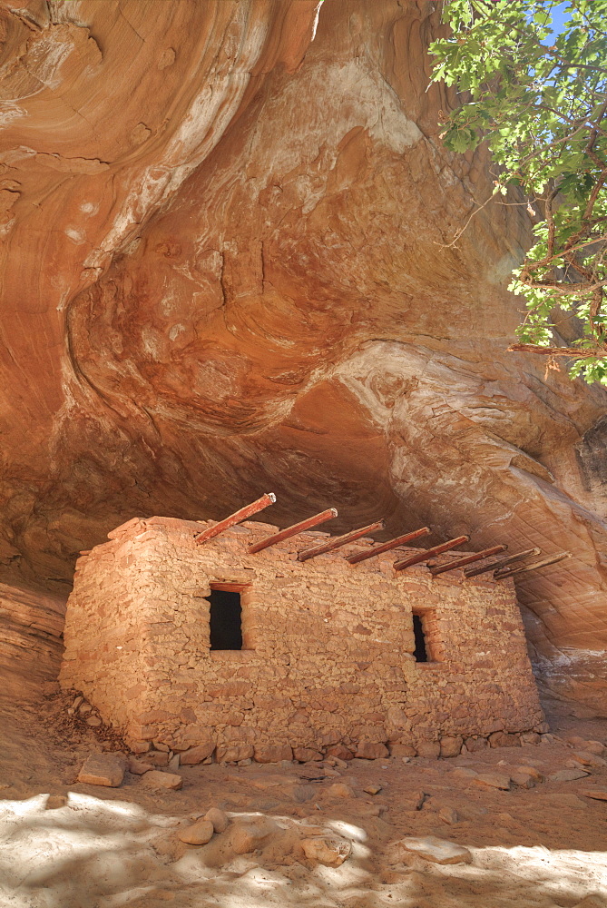 The Doll House, Ancestral (Anasazi) Pueblo building, 1150-1250 AD, Bears Ears National Monument, Cedar Mesa, Utah, United States of America, North America