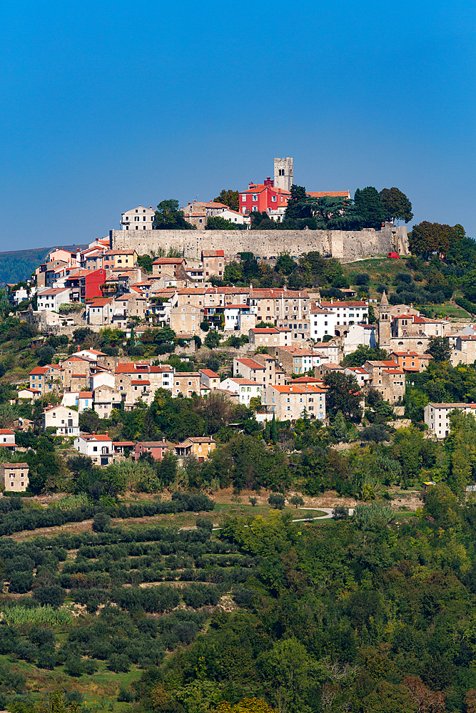 Long distance view, Motovun, Croatia, Europe