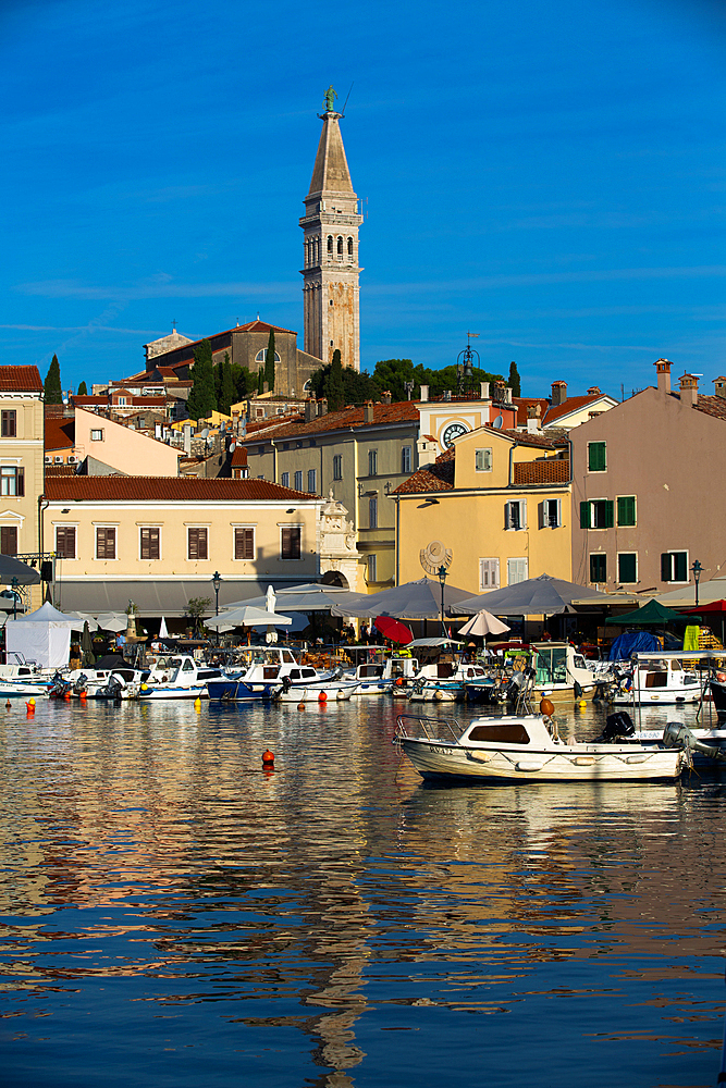 Harbor with Tower of Church of St. Euphemia in the background, Old Town, Rovinj, Croatia, Europe