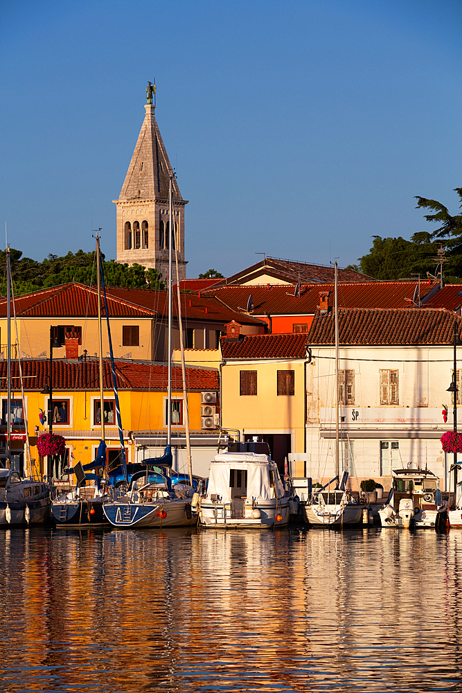 Pleasure Boats, Marina, Novigrad Port, Tower of St. Pelagius Church in the background, Old Town, Novigrad, Croatia, Europe