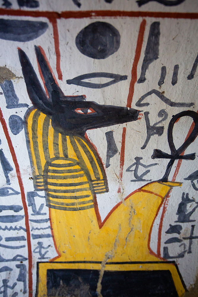 Wall painting of the God Anubis, Tomb of Nebenmaat, TT219,Deir el-Medina Tombs (Worker Tombs), Thebes, UNESCO World Heritage Site, Luxor, Egypt, North Africa, Africa