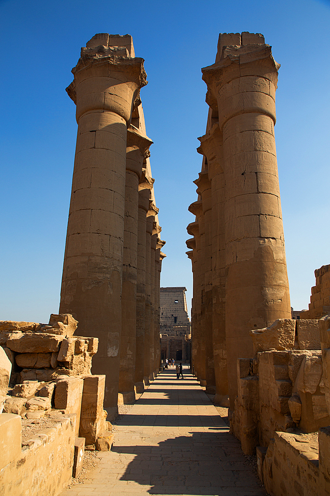 Colonnade of Amenhotep III, Luxor Temple, UNESCO World Heritage Site, Luxor, Egypt, North Africa, Africa